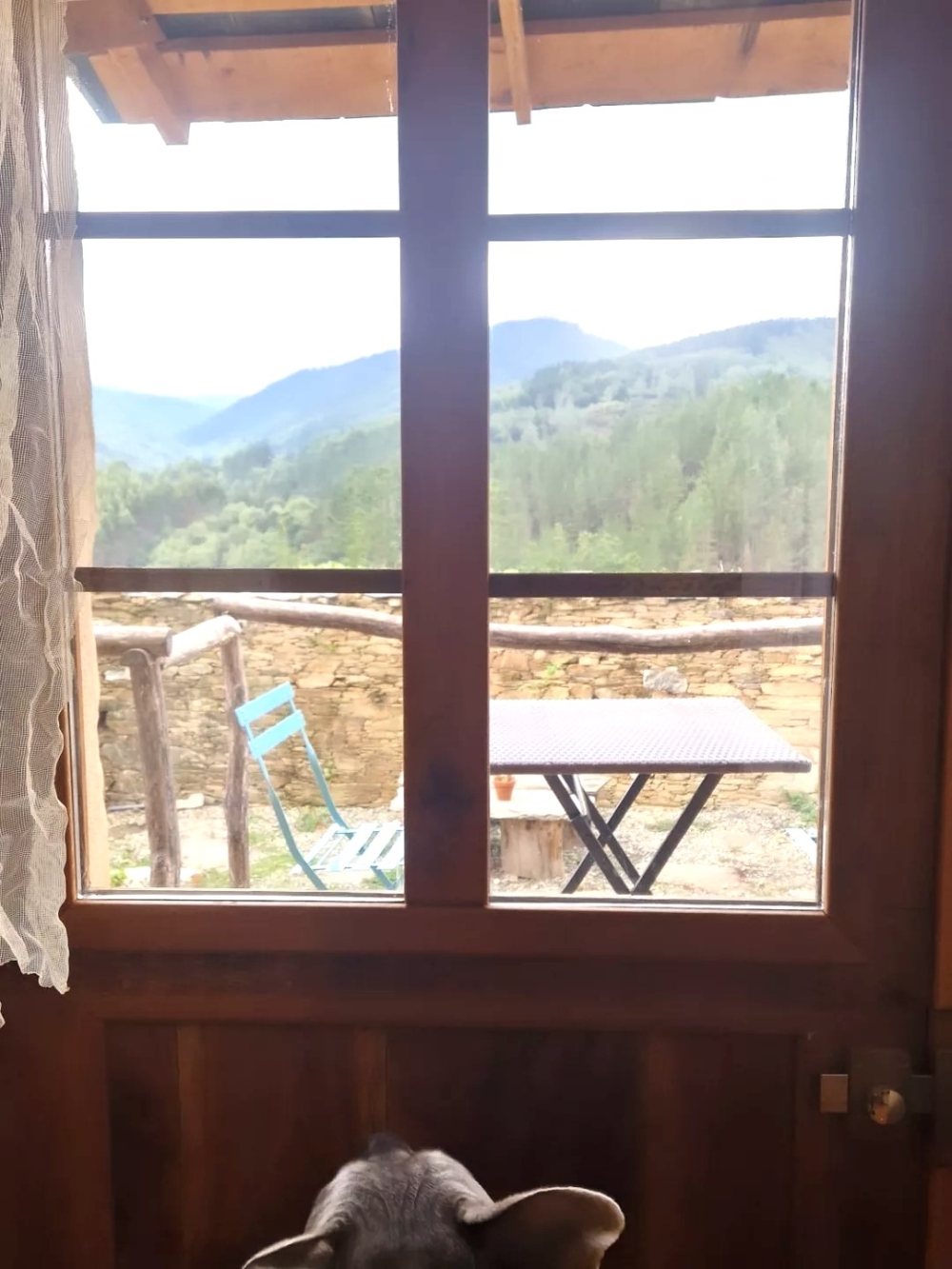 O Papucho- naturaleza y petfriendly